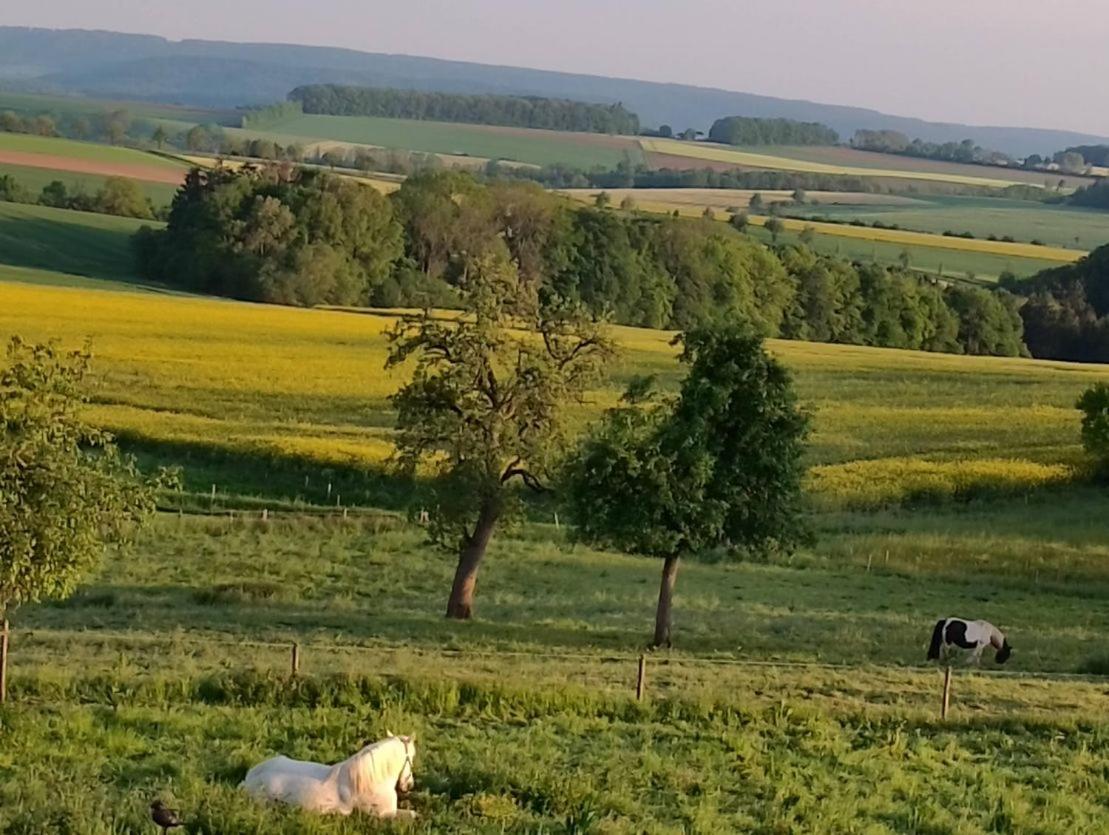 B&B Gutshaus De La Fontaine Feilsdorf Buitenkant foto